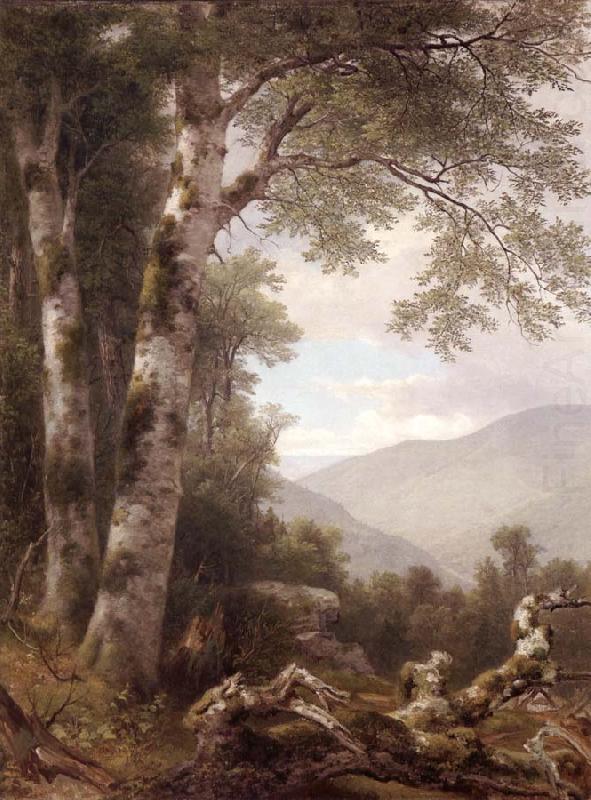 Asher Brown Durand Landscape with Birches china oil painting image